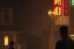 四季分界线封面：同一棵树的春夏秋冬四格拼贴